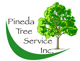 Pineda Tree Service 